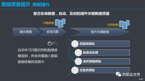 構(gòu)建高效數(shù)據(jù)治理體系 從戰(zhàn)略到實(shí)踐的全面解決方案